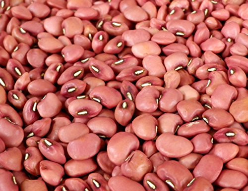 Cow pea / Thatta Payiru 1kg